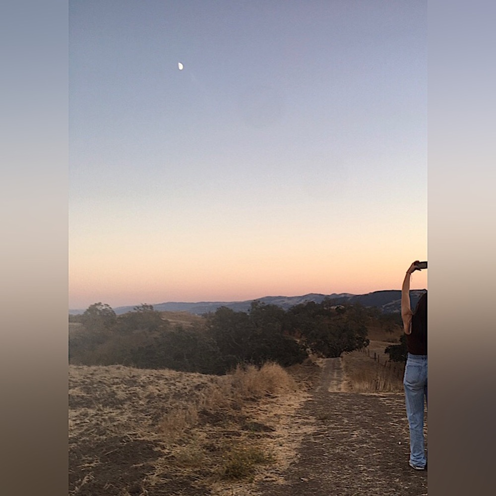 Meet your Posher, Anna